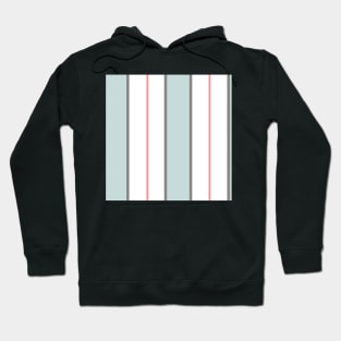 Pattern of white and pastel blue vertical regency stripes Hoodie